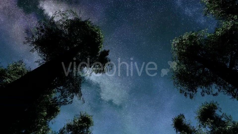Stars And Silhouetted Pine Trees Videohive 15784495 Motion Graphics Image 3