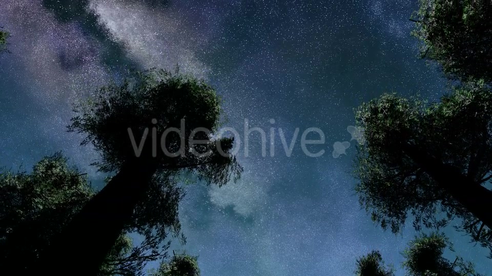 Stars And Silhouetted Pine Trees Videohive 15784495 Motion Graphics Image 4