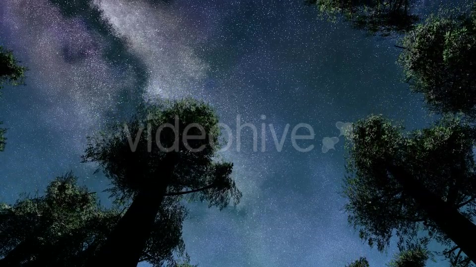 Stars And Silhouetted Pine Trees Videohive 15784495 Motion Graphics Image 5