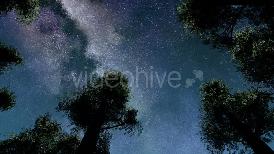 Stars And Silhouetted Pine Trees Videohive 15784495 Motion Graphics Image 6