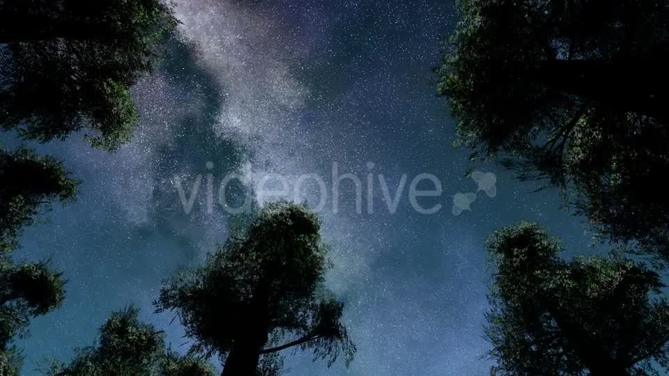 Stars And Silhouetted Pine Trees Videohive 15784495 Motion Graphics Image 7