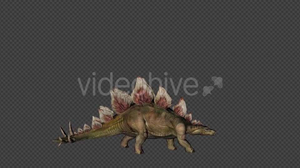 Stego Dinosaur Walk Pack 4 In 1 Videohive 20788061 Motion Graphics Image 1