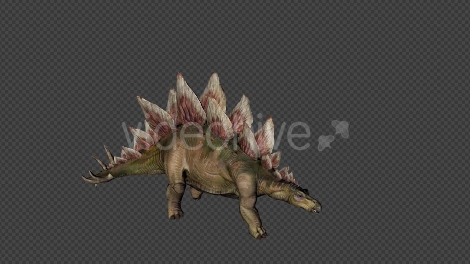 Stego Dinosaur Walk Pack 4 In 1 Videohive 20788061 Motion Graphics Image 4