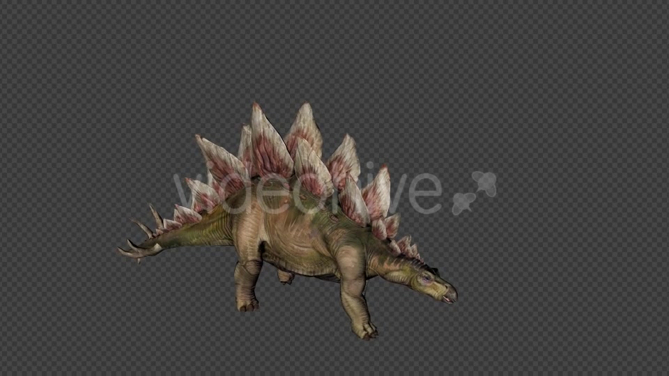 Stego Dinosaur Walk Pack 4 In 1 Videohive 20788061 Motion Graphics Image 5