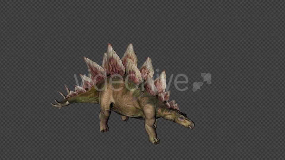 Stego Dinosaur Walk Pack 4 In 1 Videohive 20788061 Motion Graphics Image 6