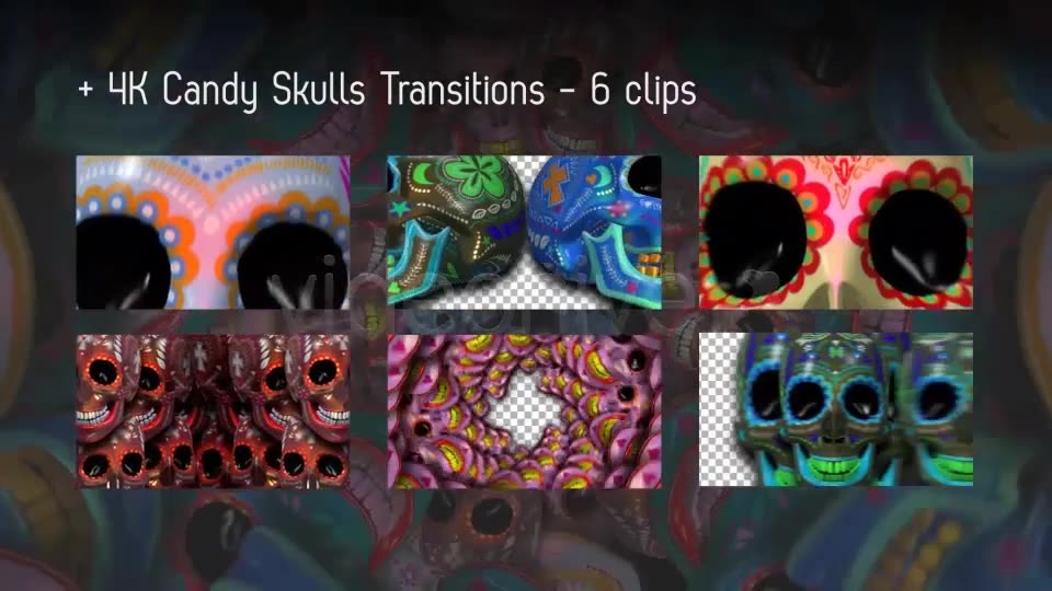 Sugar Candy Skulls 12 Clips + 6 Transitions Videohive 13028604 Motion Graphics Image 3