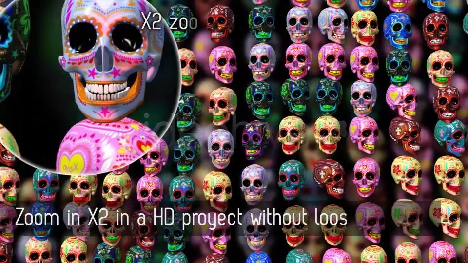 Sugar Candy Skulls 12 Clips + 6 Transitions Videohive 13028604 Motion Graphics Image 8
