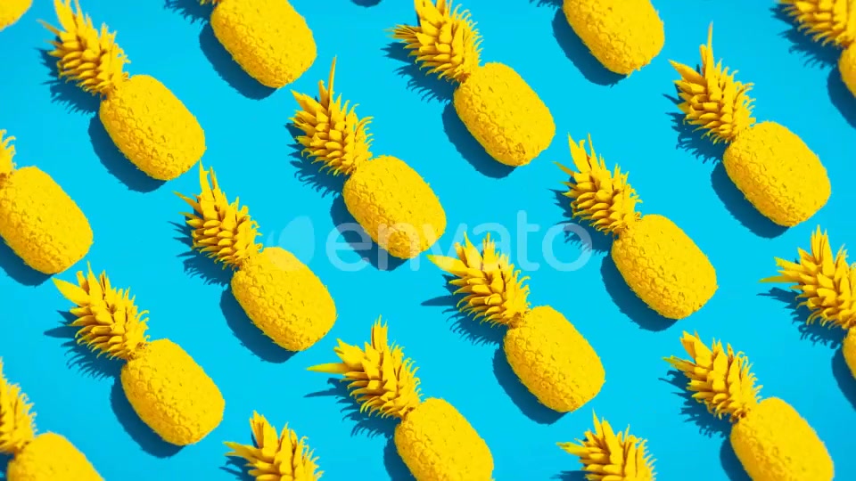 Summer Backgrounds Videohive 22178580 Motion Graphics Image 3