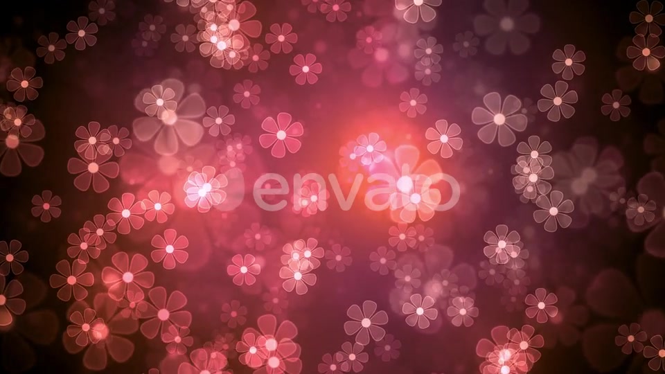 Summer Light Flowers Videohive 22930486 Motion Graphics Image 3