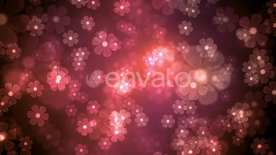 Summer Light Flowers Videohive 22930486 Motion Graphics Image 4