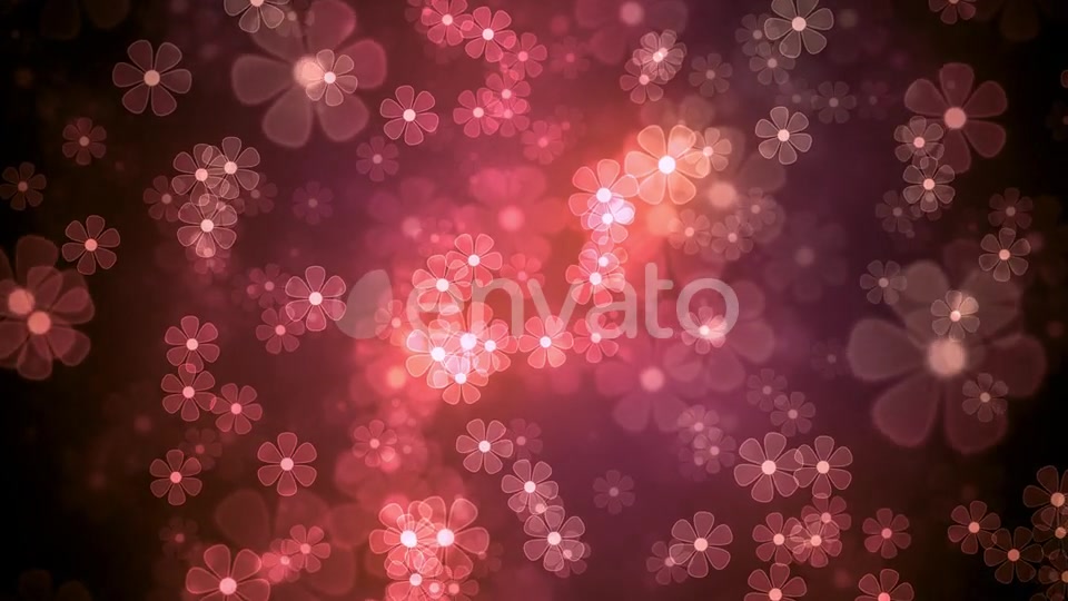 Summer Light Flowers Videohive 22930486 Motion Graphics Image 5