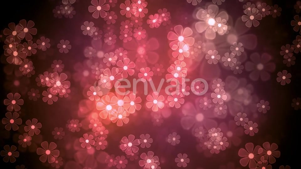 Summer Light Flowers Videohive 22930486 Motion Graphics Image 6