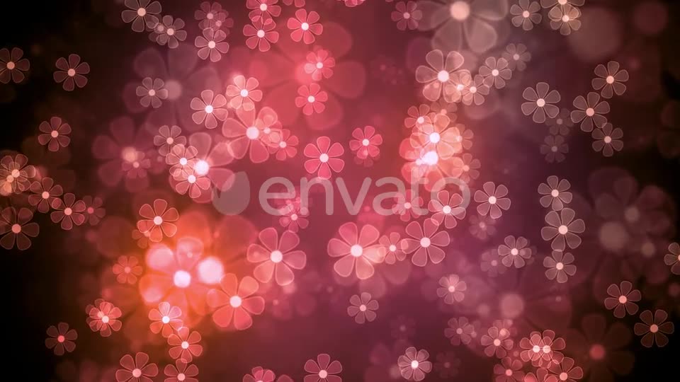 Summer Light Flowers Videohive 22930486 Motion Graphics Image 7