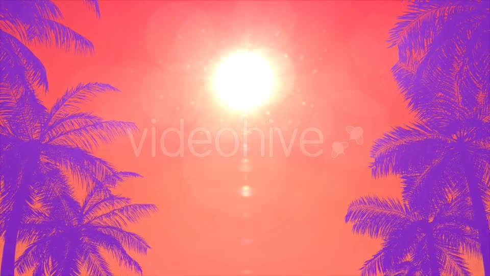 Summer Palms Loop Background Videohive 20200540 Motion Graphics Image 1