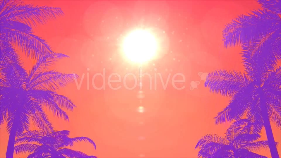 Summer Palms Loop Background Videohive 20200540 Motion Graphics Image 2