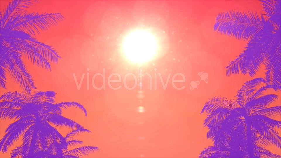 Summer Palms Loop Background Videohive 20200540 Motion Graphics Image 3