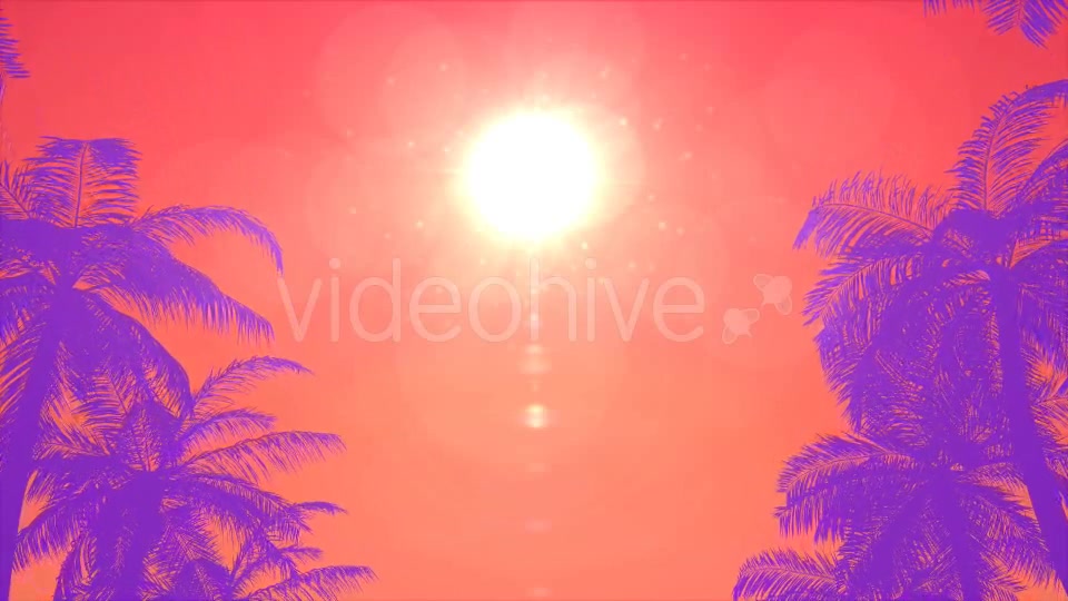 Summer Palms Loop Background Videohive 20200540 Motion Graphics Image 4