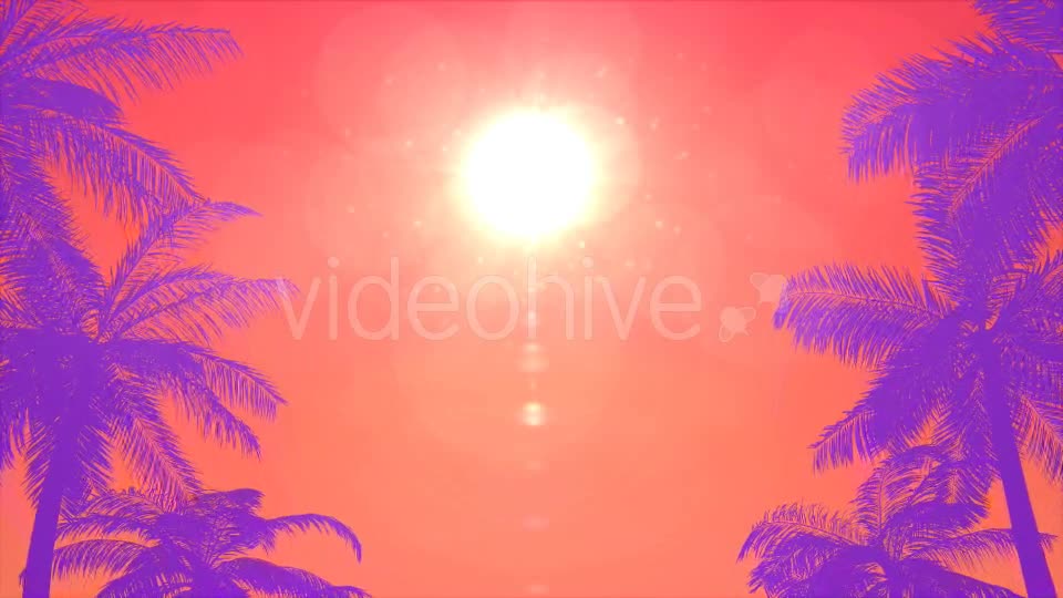Summer Palms Loop Background Videohive 20200540 Motion Graphics Image 6