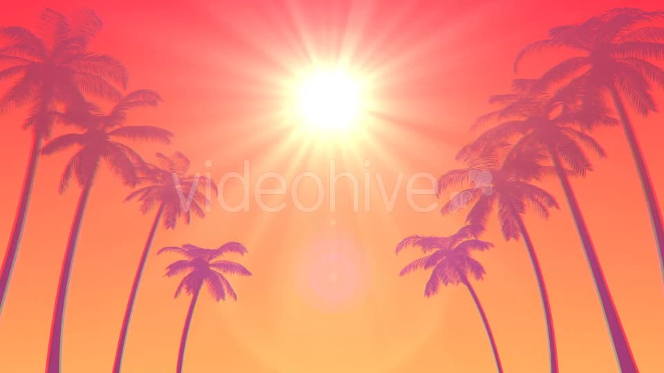 Summer Palms Loop Background Ultra HD Videohive 19999783 Motion Graphics Image 1