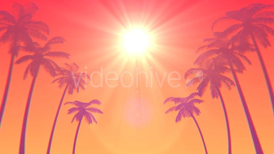 Summer Palms Loop Background Ultra HD Videohive 19999783 Motion Graphics Image 2