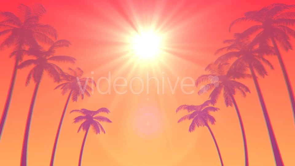 Summer Palms Loop Background Ultra HD Videohive 19999783 Motion Graphics Image 3