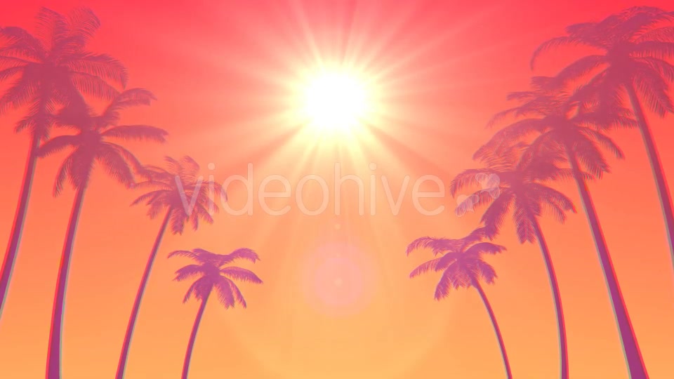 Summer Palms Loop Background Ultra HD Videohive 19999783 Motion Graphics Image 4