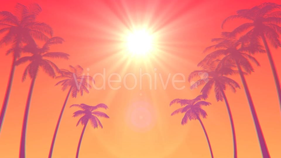 Summer Palms Loop Background Ultra HD Videohive 19999783 Motion Graphics Image 5