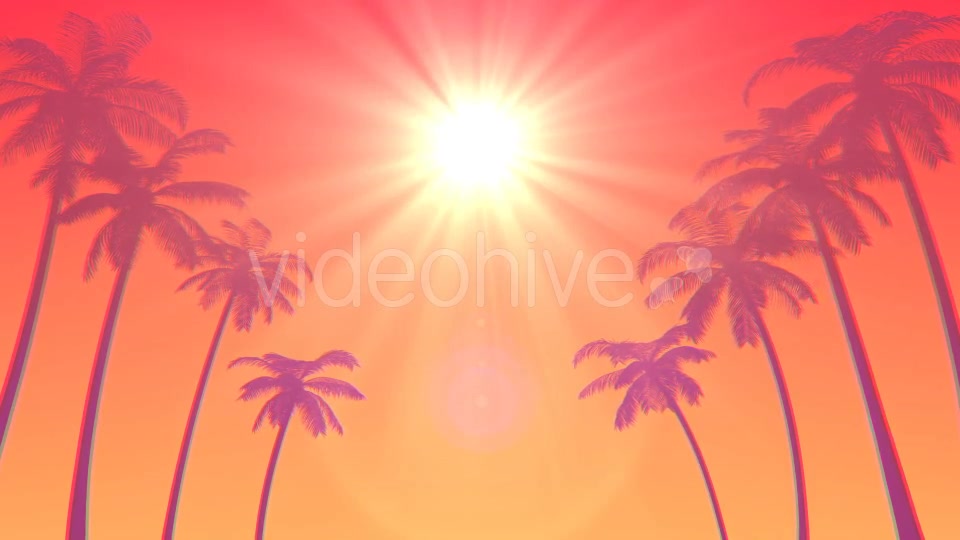 Summer Palms Loop Background Ultra HD Videohive 19999783 Motion Graphics Image 6