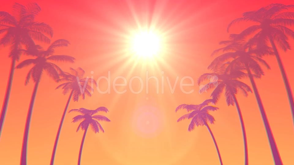 Summer Palms Loop Background Ultra HD Videohive 19999783 Motion Graphics Image 7