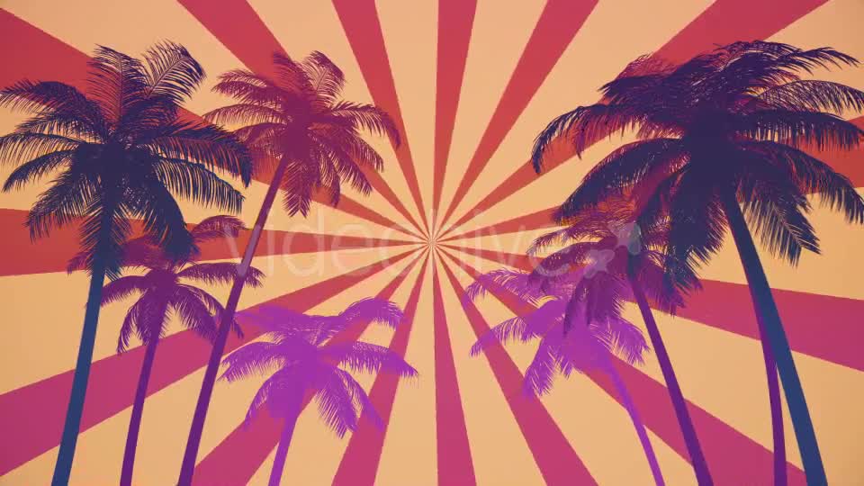 Summer Palms Loop Background Ultra HD Videohive 19999809 Motion Graphics Image 1