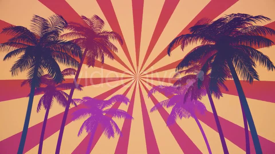 Summer Palms Loop Background Ultra HD Videohive 19999809 Motion Graphics Image 2