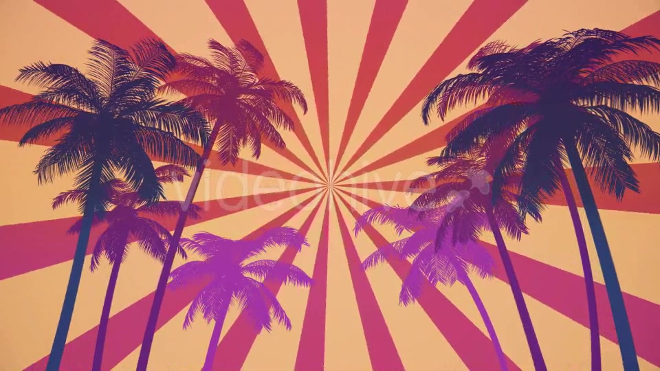 Summer Palms Loop Background Ultra HD Videohive 19999809 Motion Graphics Image 3
