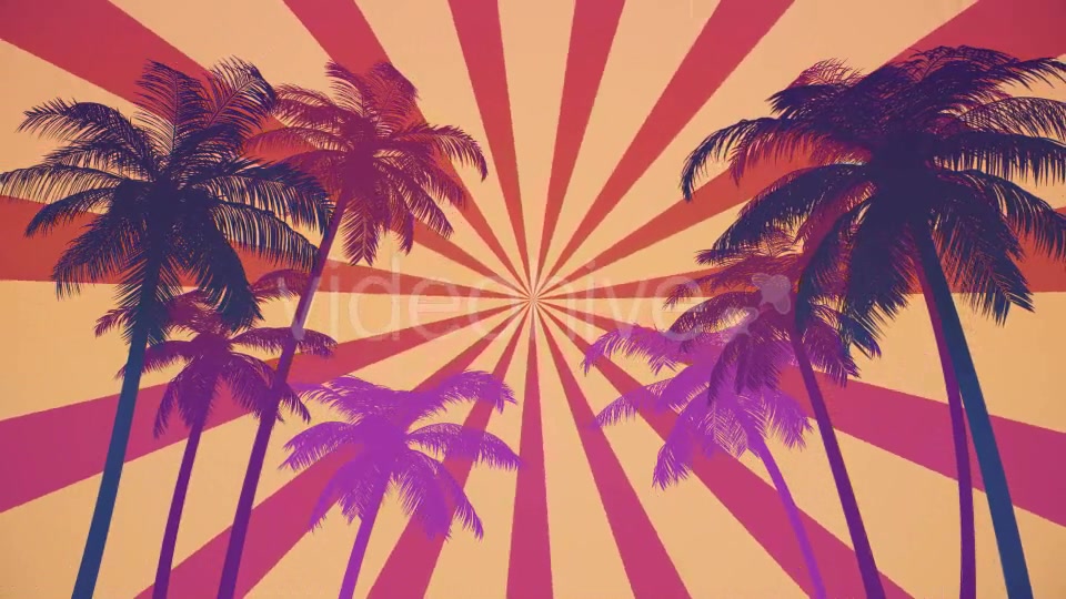Summer Palms Loop Background Ultra HD Videohive 19999809 Motion Graphics Image 4