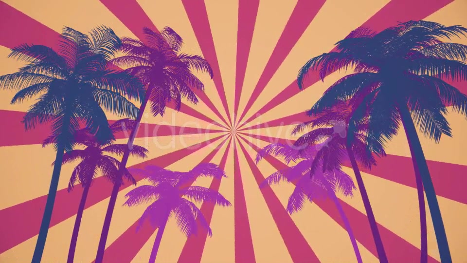 Summer Palms Loop Background Ultra HD Videohive 19999809 Motion Graphics Image 5