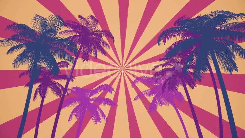 Summer Palms Loop Background Ultra HD Videohive 19999809 Motion Graphics Image 6