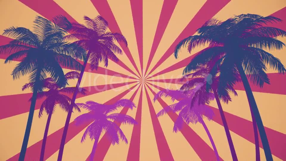 Summer Palms Loop Background Ultra HD Videohive 19999809 Motion Graphics Image 7