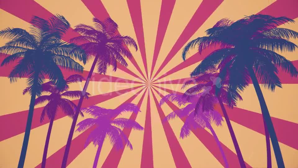 Summer Palms Loop Background Ultra HD Videohive 19999809 Motion Graphics Image 8