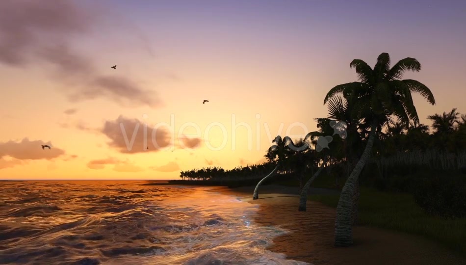 Sun And Nature Videohive 12997837 Motion Graphics Image 10