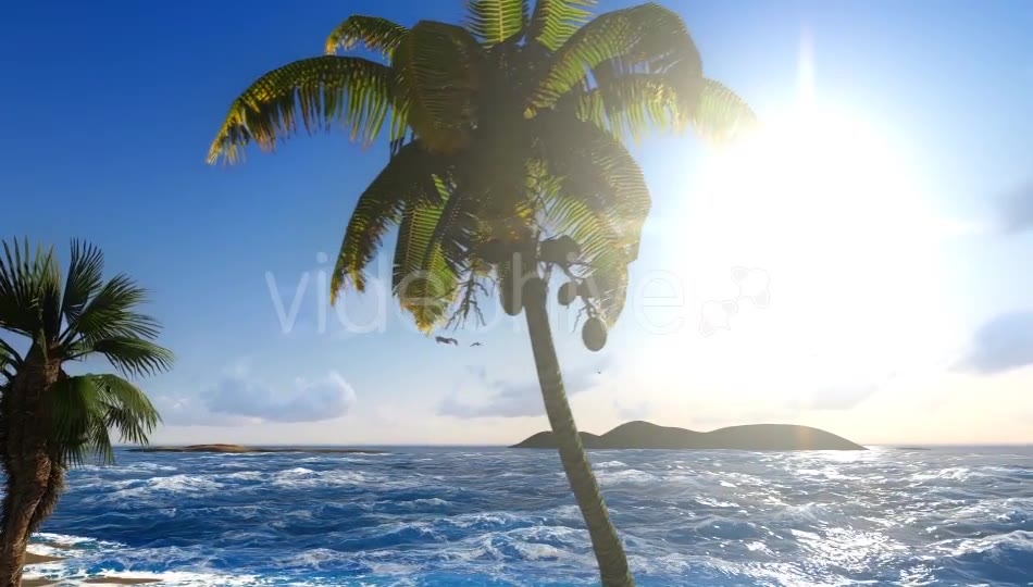 Sun And Nature Videohive 12997837 Motion Graphics Image 2