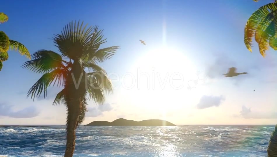 Sun And Nature Videohive 12997837 Motion Graphics Image 3