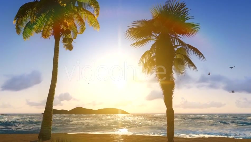 Sun And Nature Videohive 12997837 Motion Graphics Image 4