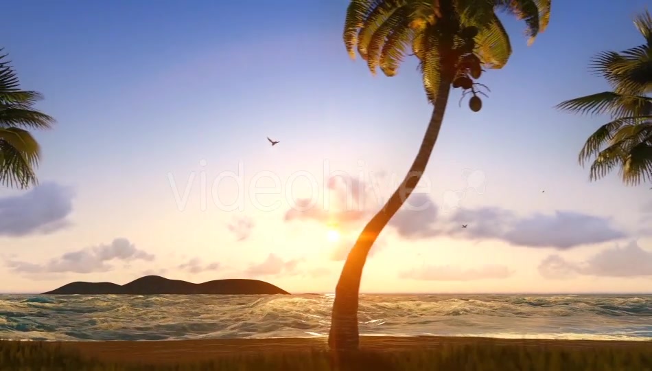 Sun And Nature Videohive 12997837 Motion Graphics Image 5