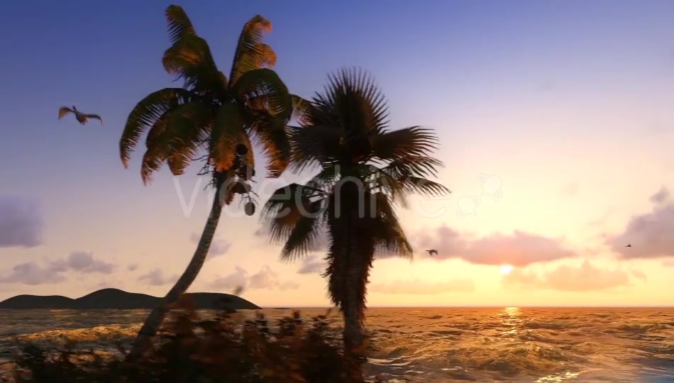 Sun And Nature Videohive 12997837 Motion Graphics Image 6