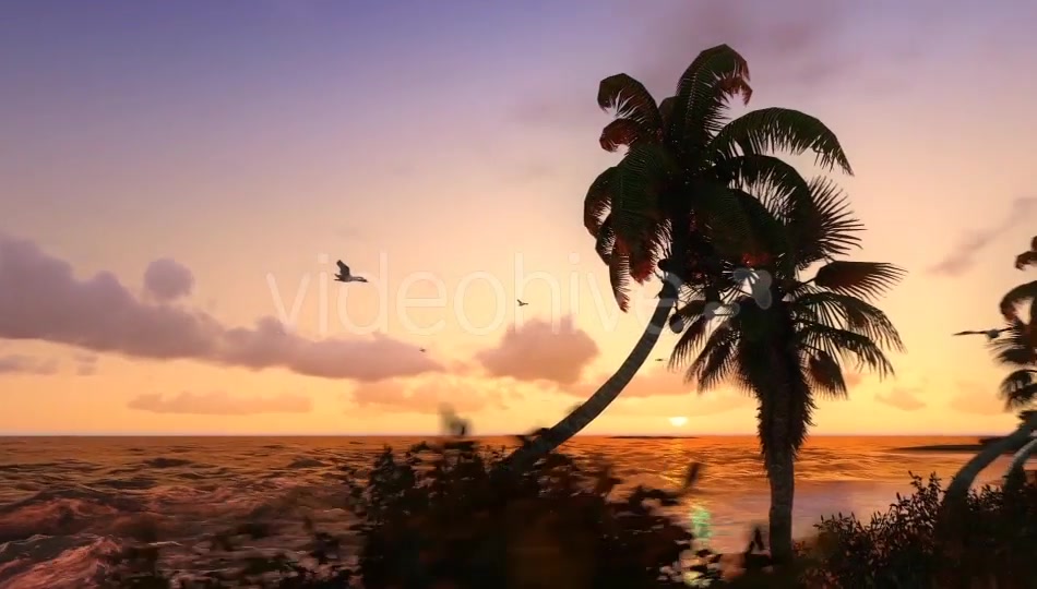 Sun And Nature Videohive 12997837 Motion Graphics Image 7