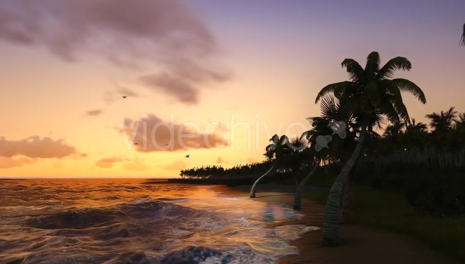 Sun And Nature Videohive 12997837 Motion Graphics Image 9