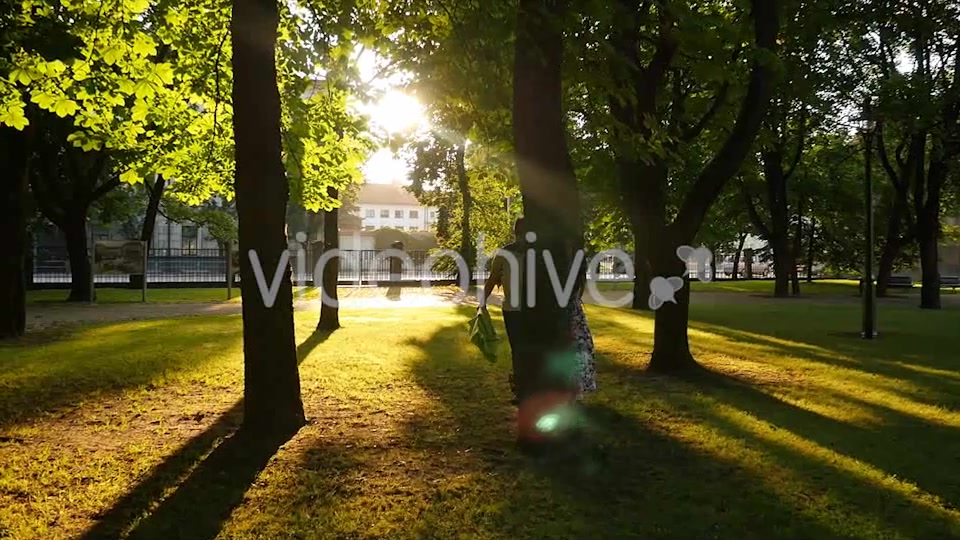 Sun Light Flare Overlay Videohive 9145574 Motion Graphics Image 10