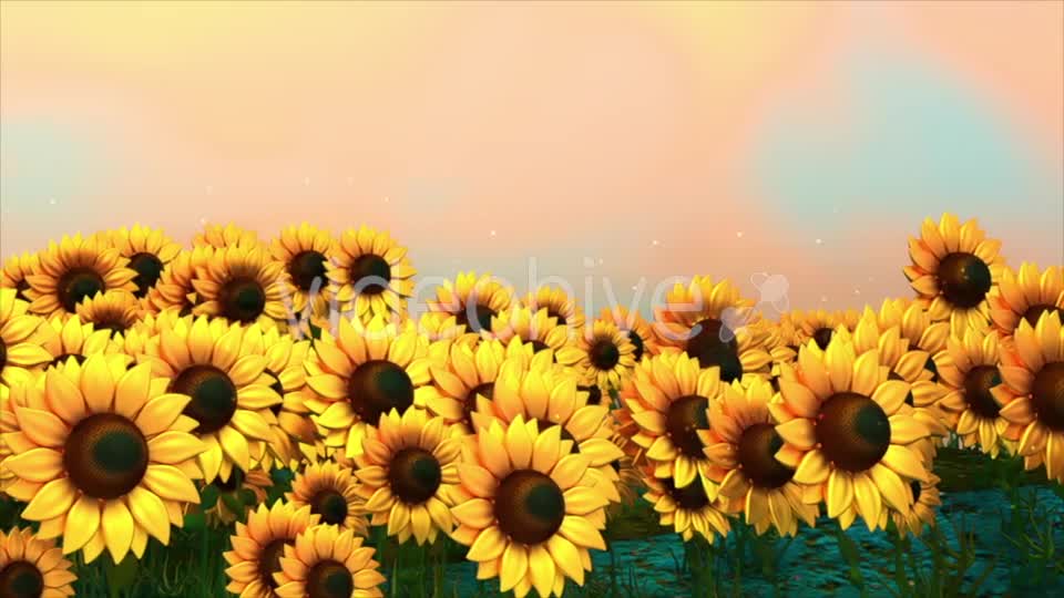 Sunflower Field Videohive 18760728 Motion Graphics Image 1
