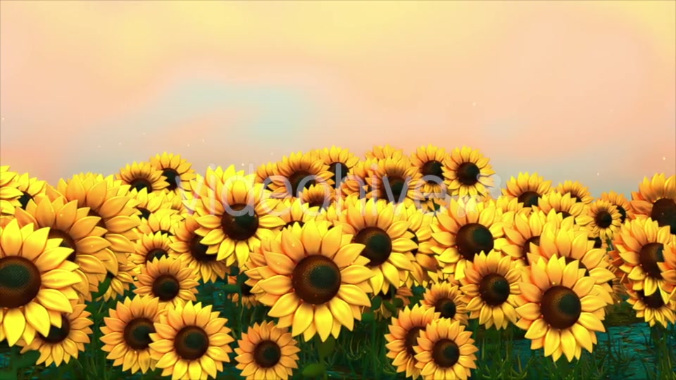 Sunflower Field Videohive 18760728 Motion Graphics Image 10