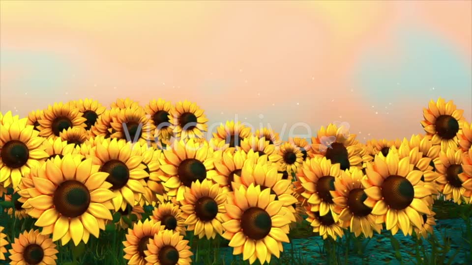Sunflower Field Videohive 18760728 Motion Graphics Image 2
