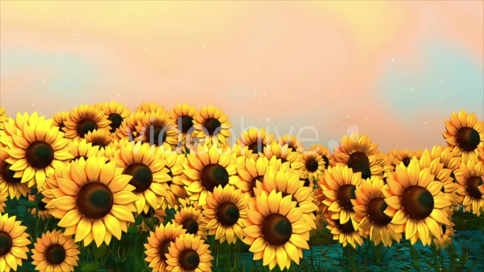 Sunflower Field Videohive 18760728 Motion Graphics Image 4